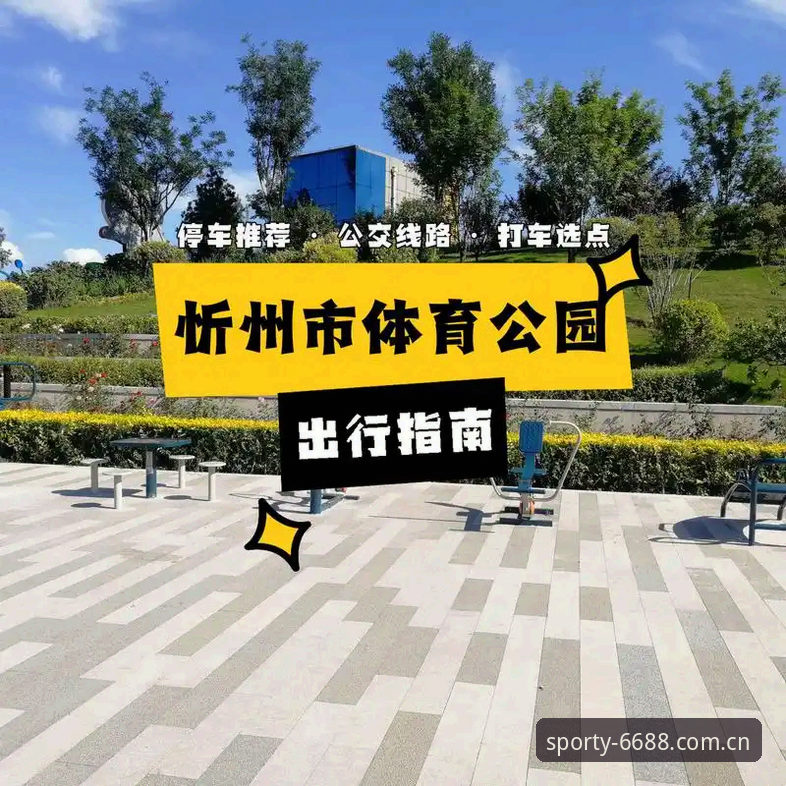 体育下载地址 6688体育平台下载完整指南:从安装到使用的全流程经验分享